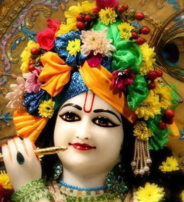 50% OFF on Krishna Photographic Paper 50% OFF on Krishna Photographic Paper
