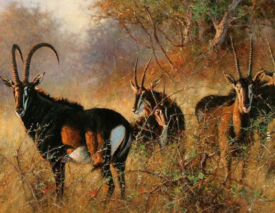 79% OFF on meSleep Canvas Pianting without Frame Canvas Art