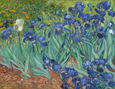 14% OFF on Irises By Vincent Van Gogh Dutch Fine Art Print 14% OFF on Irises By Vincent Van Gogh Dutch Fine Art Print