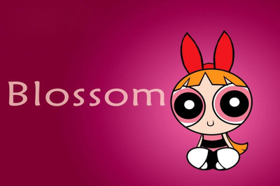 62% OFF on Powerpuff Girls Blossom Poster Photographic Paper