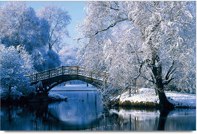 75% OFF on Amy Beauty Love Nature 3D Poster 75% OFF on Amy Beauty Love Nature 3D Poster