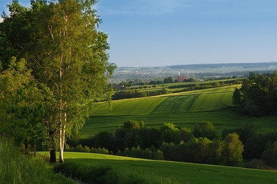 16% OFF on Beautiful Grass And Trees Poster Paper Print 16% OFF on Beautiful Grass And Trees Poster Paper Print