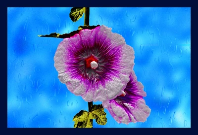 50% OFF on Two Hibiscus Canvas Art