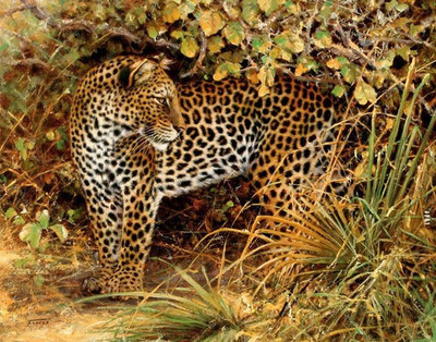 80% OFF on Holicshop Tiger Canvas Pianting without Frame Canvas Art