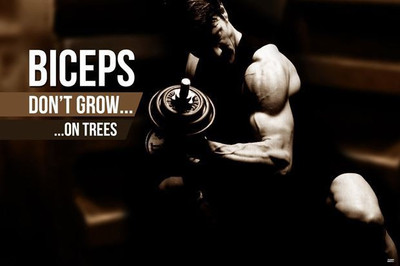 64% OFF on Fitness Biceps Photographic Paper