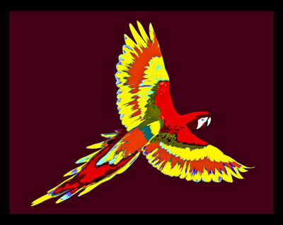 50% OFF on Parrot 05, Paper Print