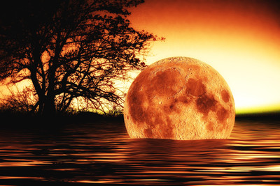 31% OFF on Apocalypse - Moon in Water Paper Print