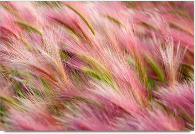 75% OFF on Abstrect Multi Color Paper Print 75% OFF on Abstrect Multi Color Paper Print