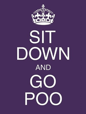 70% OFF on Sit Down And Go Poo 3D Poster 70% OFF on Sit Down And Go Poo 3D Poster