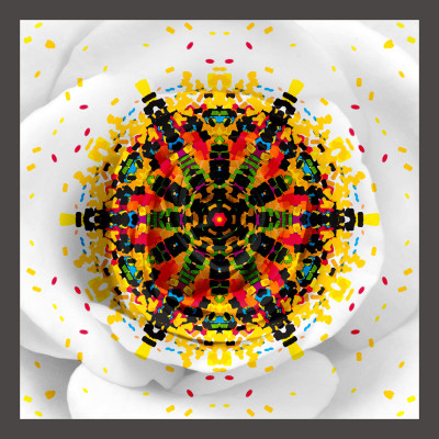 50% OFF on Rose Kaleidoscope Paper Print