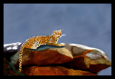 50% OFF on Leopard on Canvas Art 50% OFF on Leopard on Canvas Art