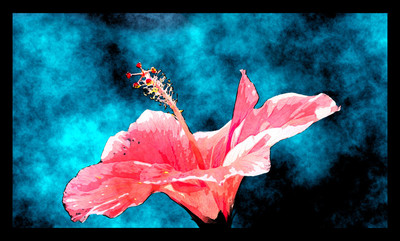 50% OFF on Hibiscus Majestic Paper Print