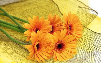 73% OFF on Orange Flowers Photographic Paper
