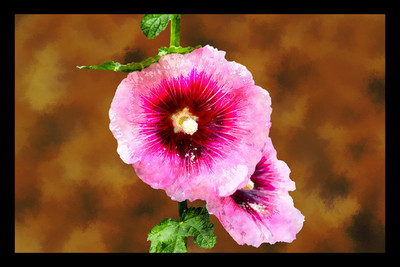 50% OFF on Two Hibiscus Canvas Art