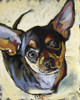 All Bark Fine Art Print
