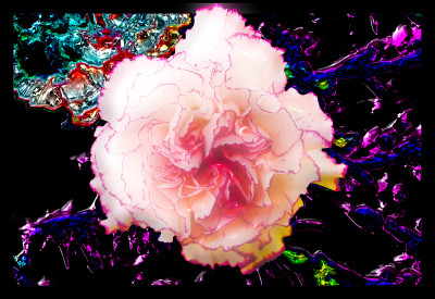 50% OFF on Shining Pink Paper Print