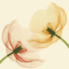 Lightness I Fine Art Print