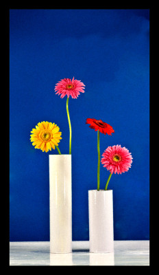 50% OFF on Flowers in Paper Print 50% OFF on Flowers in Paper Print