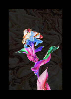 50% OFF on Shining Bright Paper Print