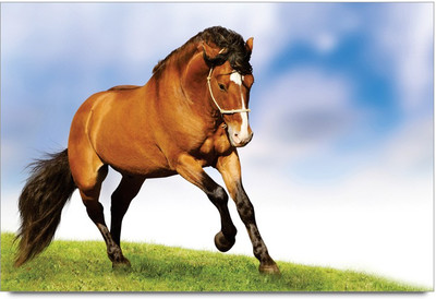 34% OFF on Amy Brown Horse 3D Poster