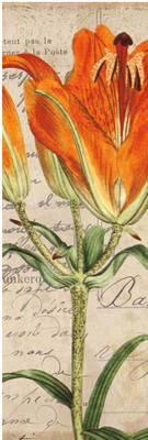 Montage - Jardin Botanique II Fine Art Print