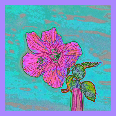 50% OFF on Hibiscus in Canvas Art