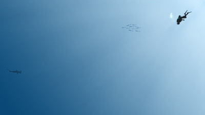 66% OFF on Urbanhomz Deep Sea Poster Paper Print