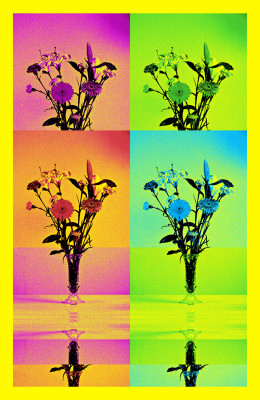 50% OFF on Flowers in Canvas Art