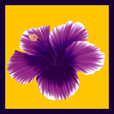 50% OFF on Painted Hibiscus Canvas Art