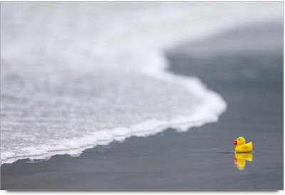 34% OFF on Amy Cute Yellow Rubber Duck On The Beach Paper Print 34% OFF on Amy Cute Yellow Rubber Duck On The Beach Paper Print