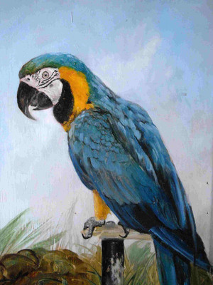 25% OFF on Elite Collection Frameless Painting Animal-0012 Canvas Art