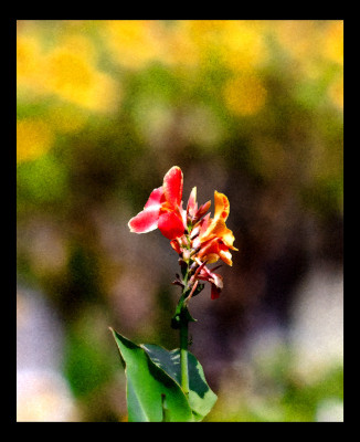 50% OFF on Colourful and Paper Print 50% OFF on Colourful and Paper Print