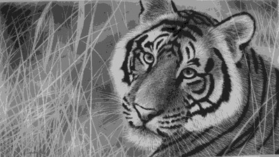 25% OFF on Painting without Frame Scenery-10 Canvas Art