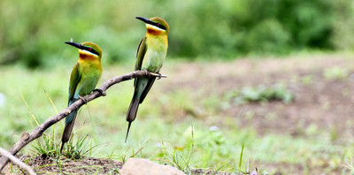 50% OFF on Hey Look Paper Print