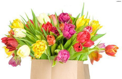 73% OFF on Tulips Photographic Paper