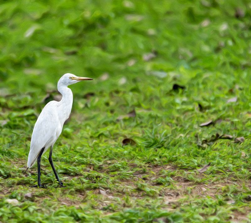 50% OFF on At rest Paper Print