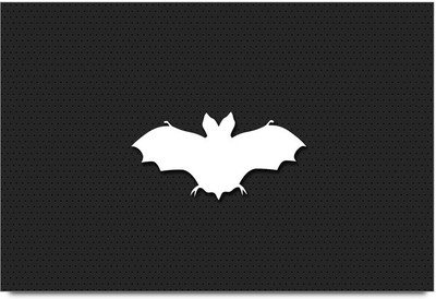 77% OFF on Shoprock Bat Art Photographic Paper