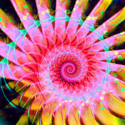 50% OFF on Fractal beauty Paper Print