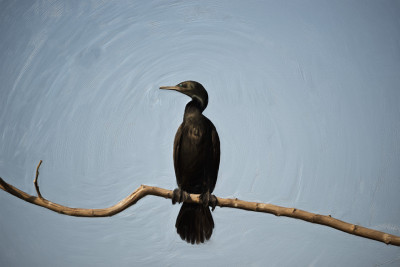 50% OFF on At rest Paper Print