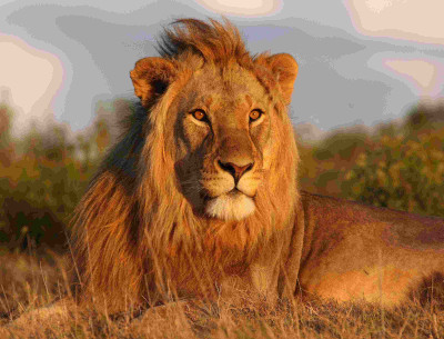 43% OFF on Painting without Frame Scenery-19 (34X22) Canvas Art