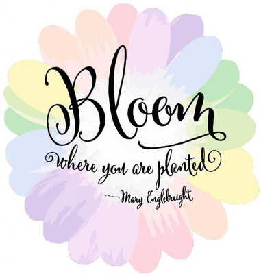 62% OFF on Bloom Where You Are Planted Poster Photographic Paper
