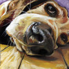 Floored Fine Art Print