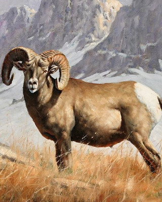 77% OFF on meSleep Canvas Pianting without Frame Canvas Art