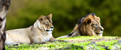 50% OFF on Woman on Canvas Art