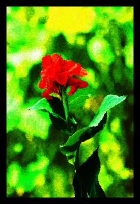 50% OFF on Red and Paper Print 50% OFF on Red and Paper Print