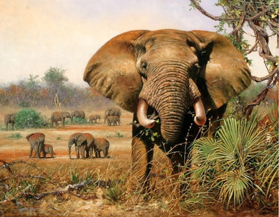 52% OFF on Painting Without Frame - Parrot Abstract Canvas Art