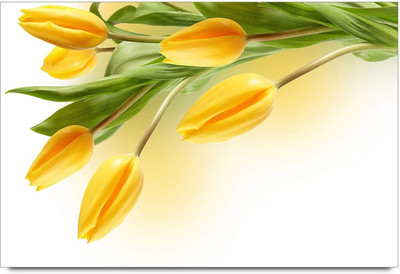 75% OFF on Tulip Yellow Flawers Paper Print 75% OFF on Tulip Yellow Flawers Paper Print