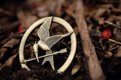 62% OFF on Mockingjay Pin Hunger Games Poster Photographic Paper 62% OFF on Mockingjay Pin Hunger Games Poster Photographic Paper