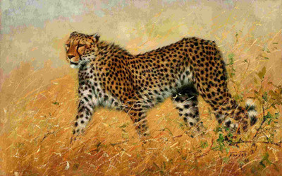 25% OFF on Elite Collection Frameless Painting Animal-0008 Canvas Art 25% OFF on Elite Collection Frameless Painting Animal-0008 Canvas Art