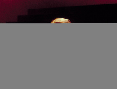 12% OFF on Marilyn Monroe Fine Art Print